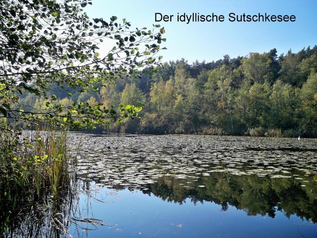 Bestwaner 3*